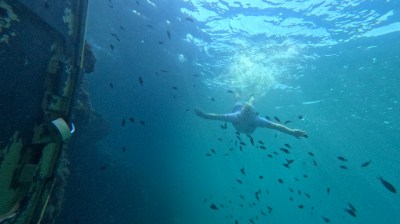 Person swimming underwater near a sunken ship with small fish around.