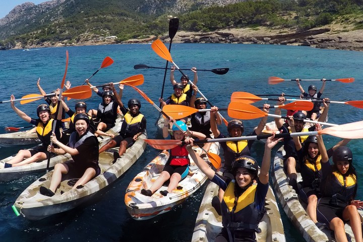 Group of kayakers on the sea with paddles raised, near rocky shore.