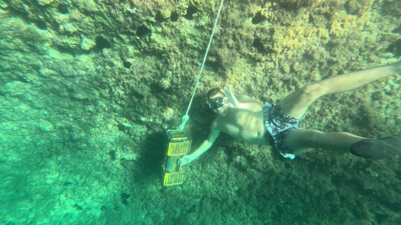 Person underwater in snorkeling gear near rocky seabed, holding onto a rope.